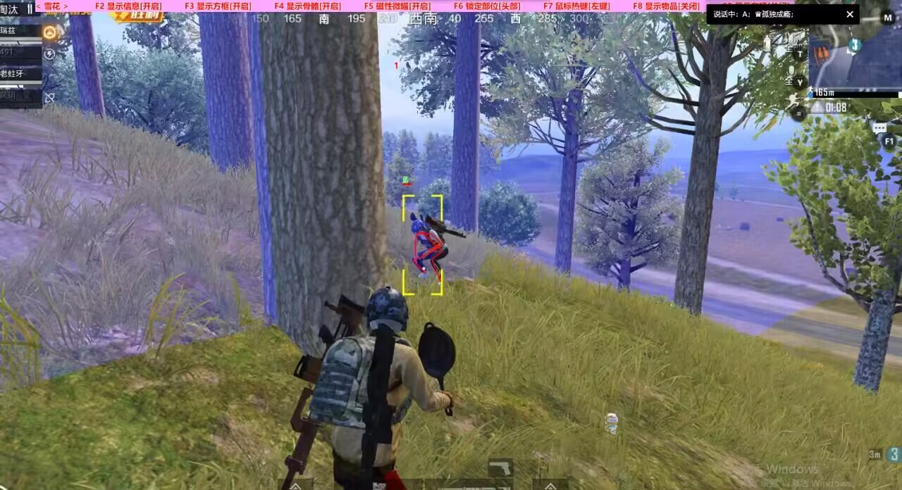 和平精英「路易威登」外挂